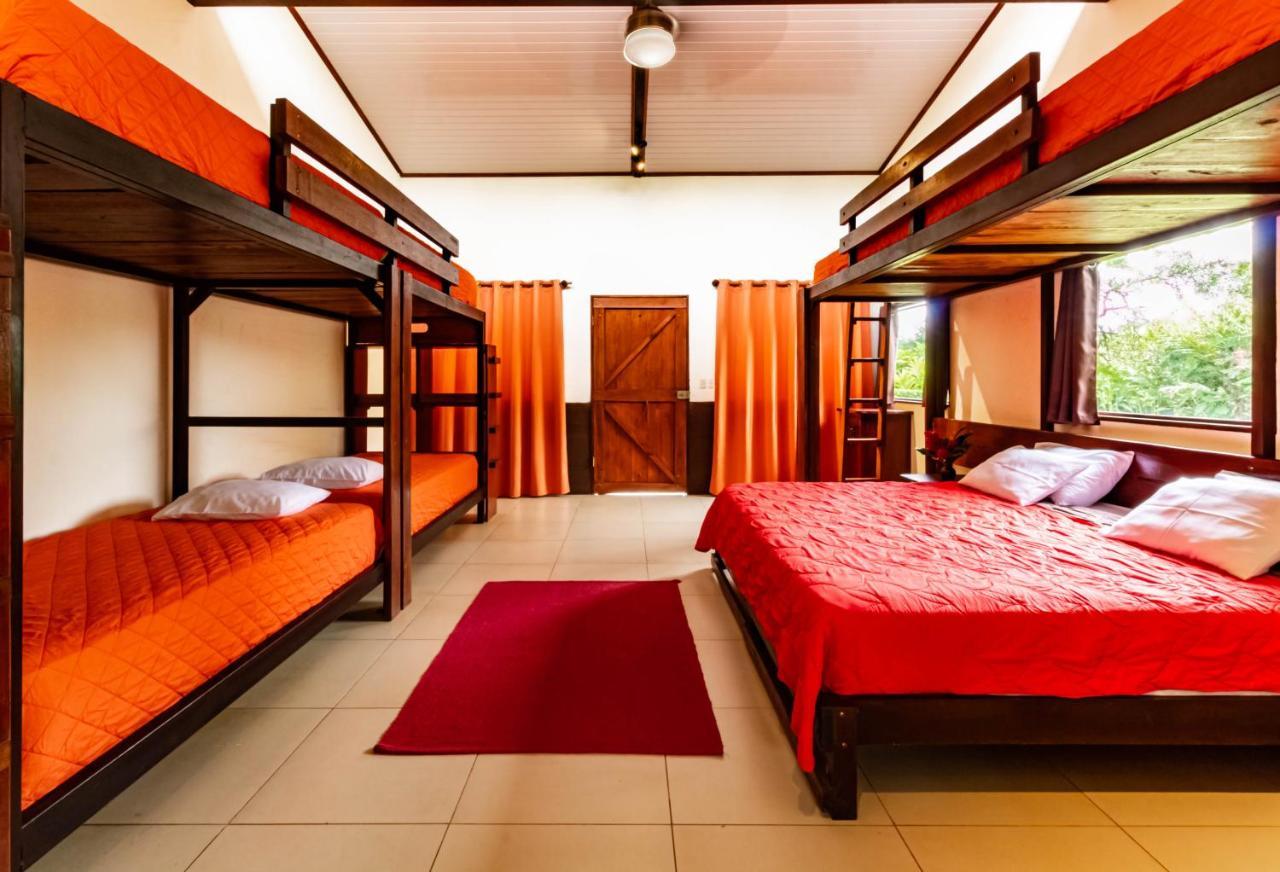La Anita Rain Forest Colonia Dos Rios Экстерьер фото