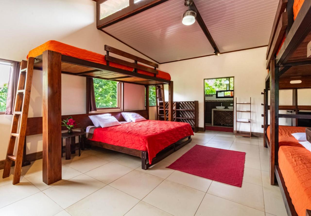 La Anita Rain Forest Colonia Dos Rios Экстерьер фото