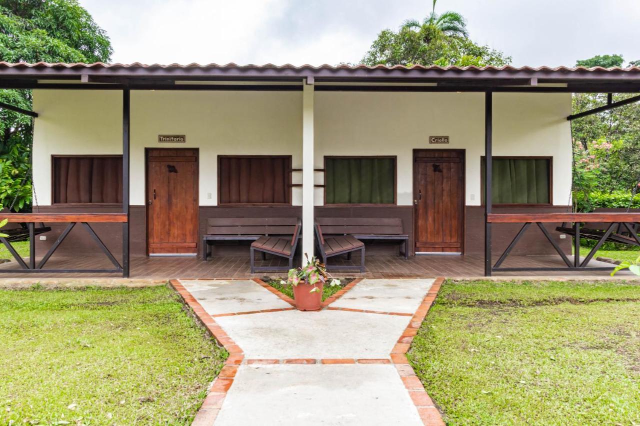La Anita Rain Forest Colonia Dos Rios Экстерьер фото