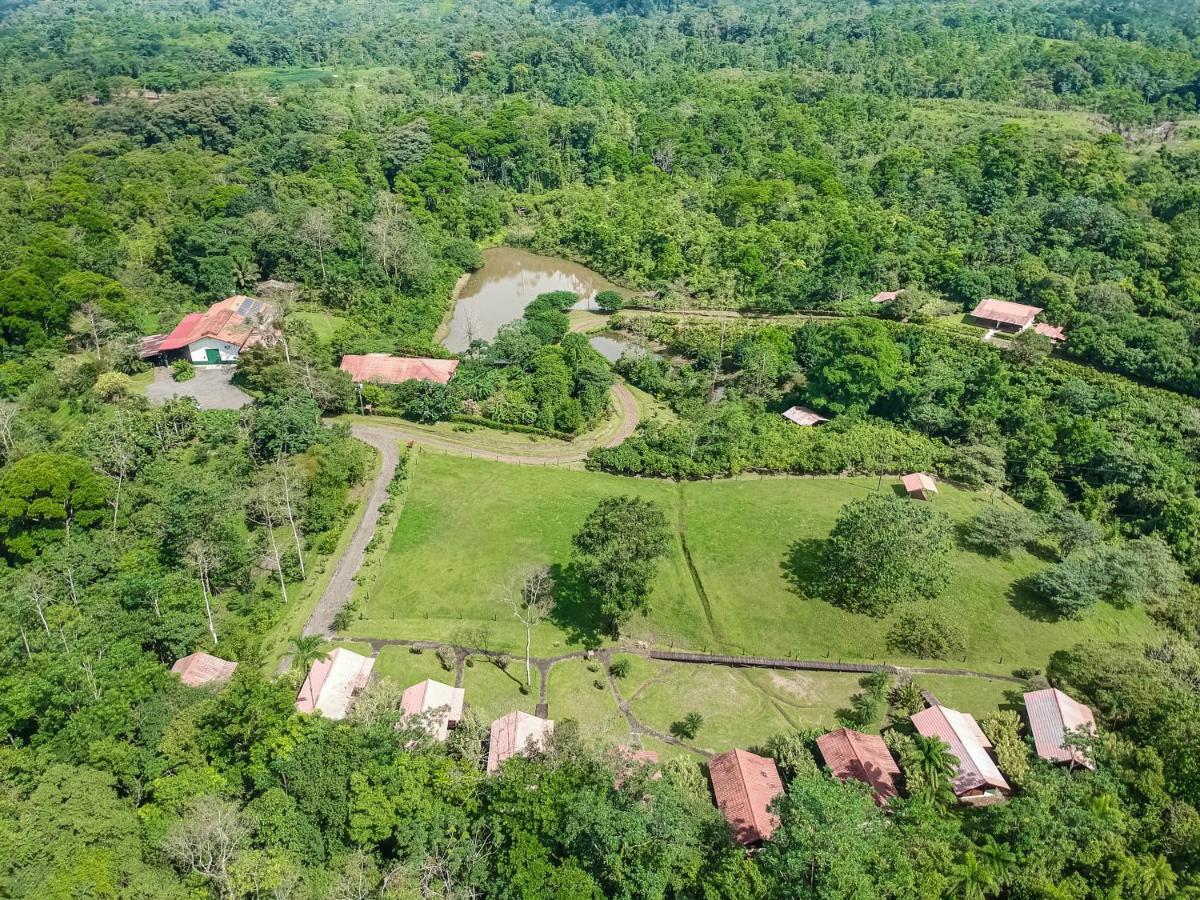 La Anita Rain Forest Colonia Dos Rios Экстерьер фото