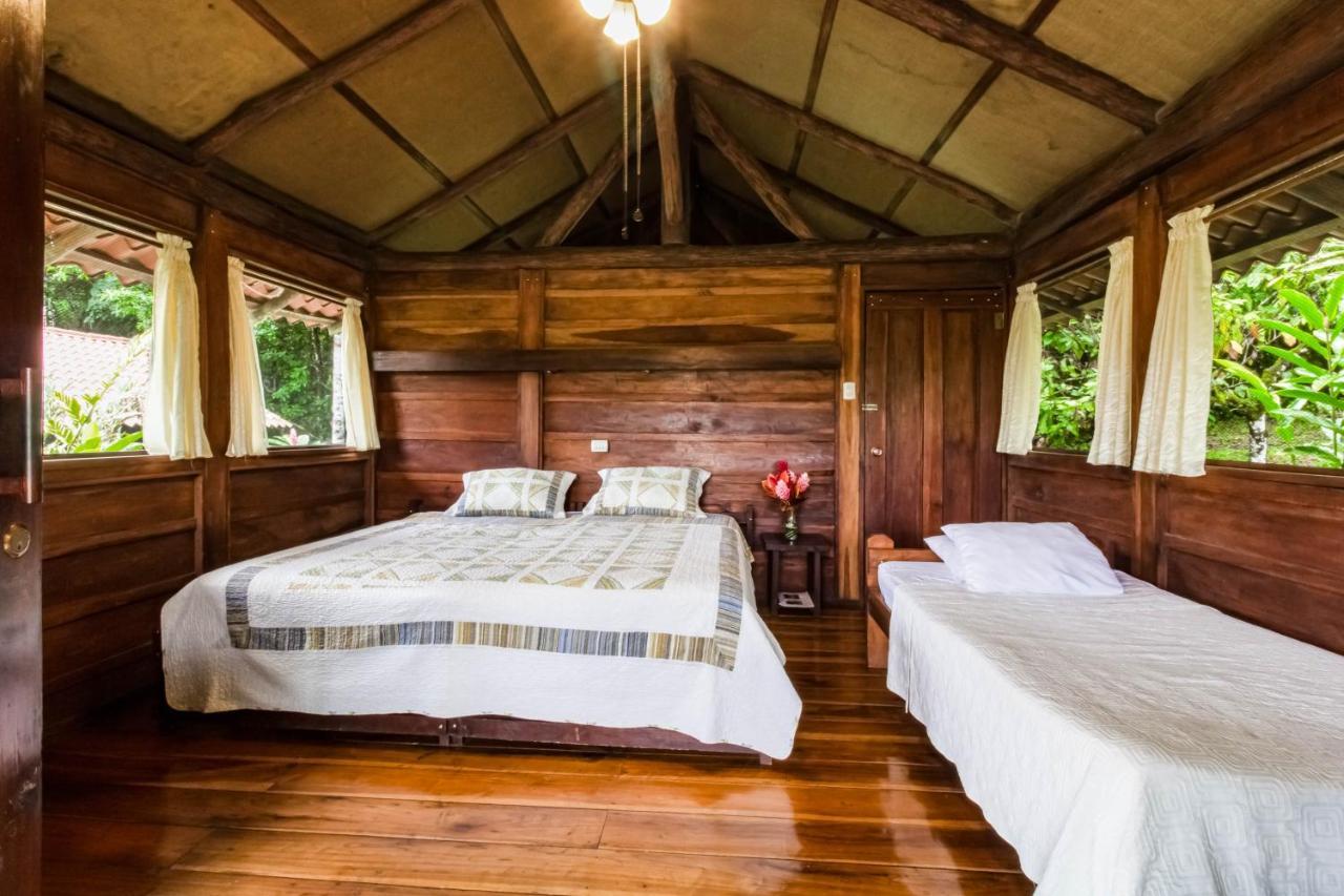 La Anita Rain Forest Colonia Dos Rios Экстерьер фото