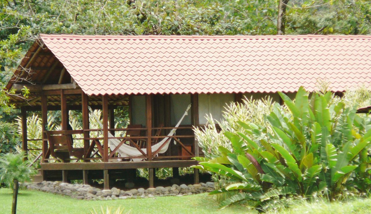 La Anita Rain Forest Colonia Dos Rios Экстерьер фото