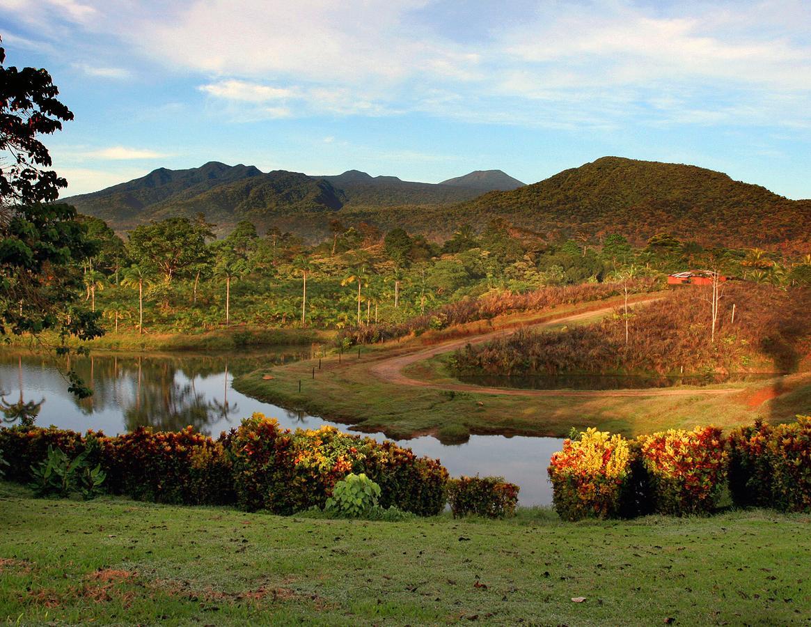 La Anita Rain Forest Colonia Dos Rios Экстерьер фото