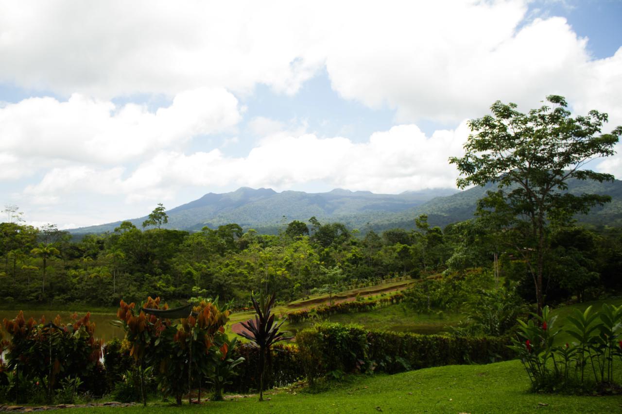 La Anita Rain Forest Colonia Dos Rios Экстерьер фото