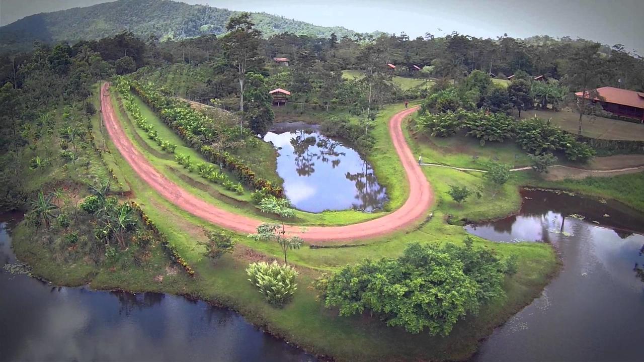 La Anita Rain Forest Colonia Dos Rios Экстерьер фото