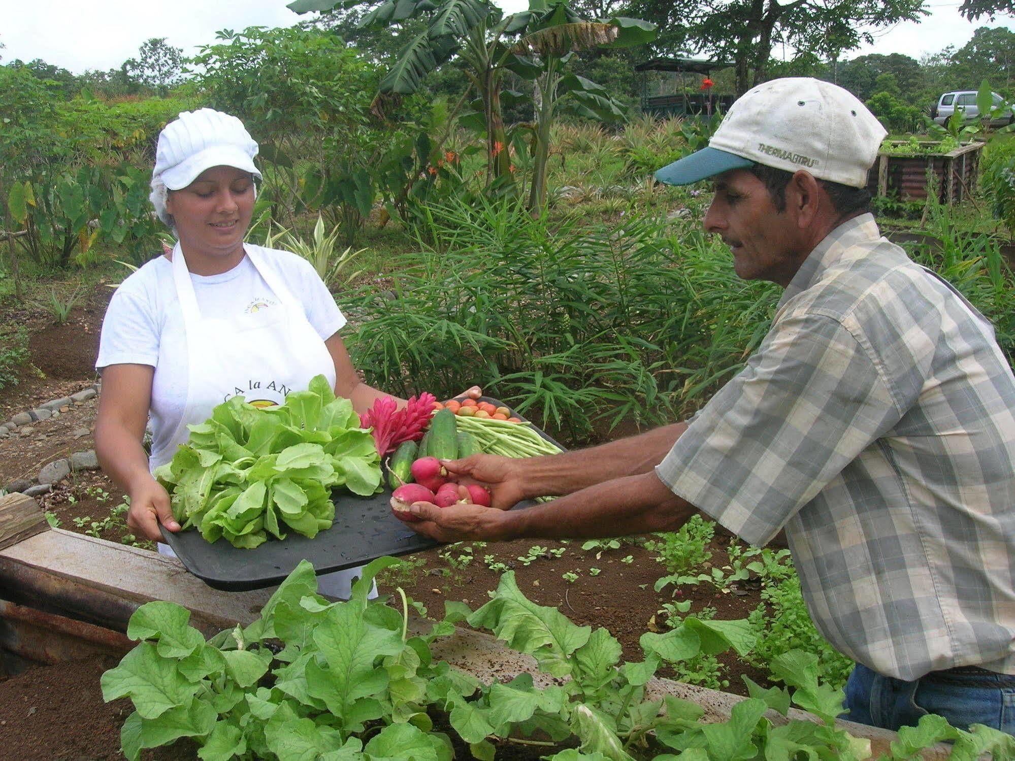 La Anita Rain Forest Colonia Dos Rios Экстерьер фото