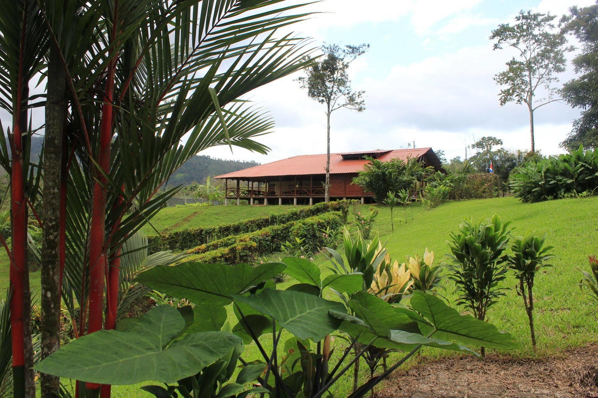 La Anita Rain Forest Colonia Dos Rios Экстерьер фото