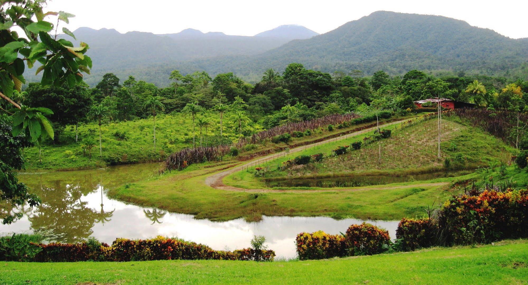 La Anita Rain Forest Colonia Dos Rios Экстерьер фото